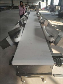 海產(chǎn)品重量分選機(jī)選購(gòu)指南 直擊諸城和義機(jī)械與臺(tái)灣設(shè)備高清圖解